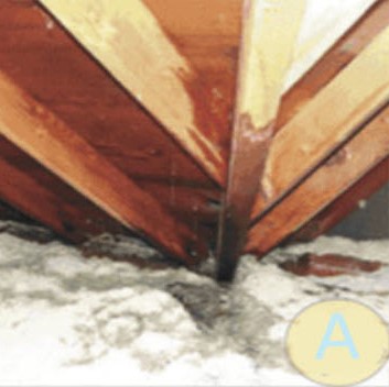 Insulation Damage from Roof Ice Dams Insulation Damage from Roof Ice Dams